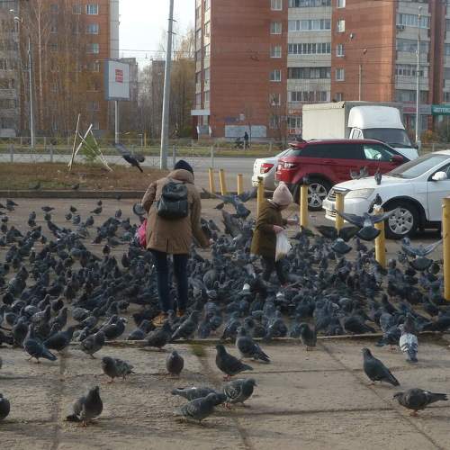 Photo #11756268