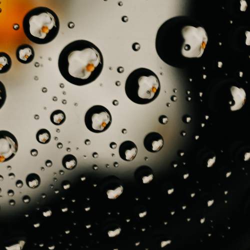 Photo #11756481
