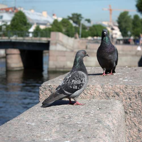 Photo #11756557