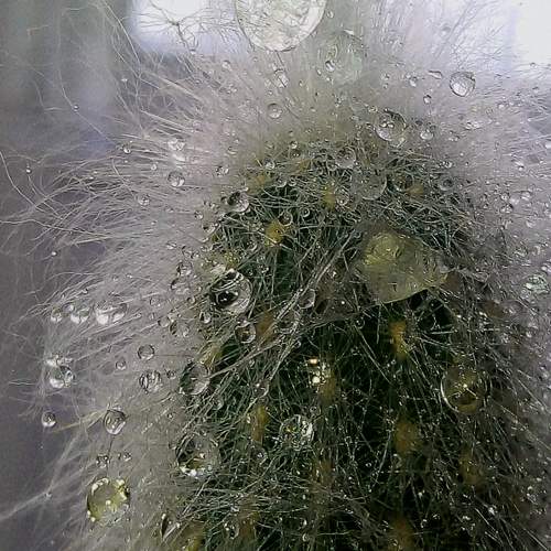 Photo #11756612