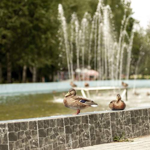 Photo #11756614