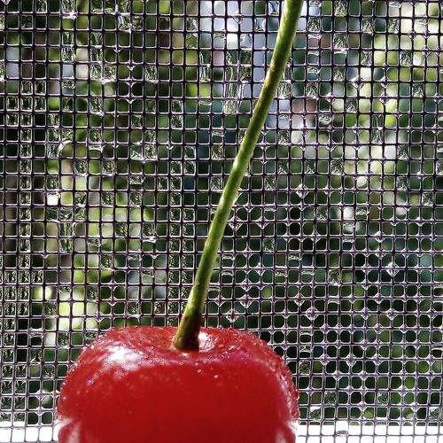 Photo #11756636