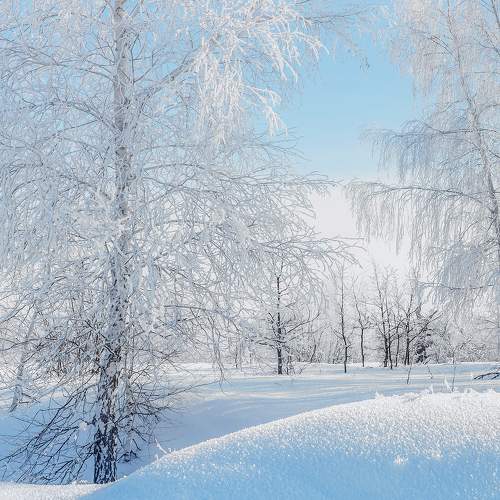 Морозный день