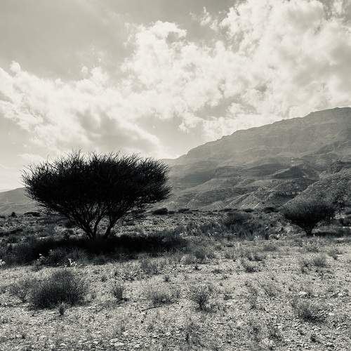 Photo #11756792