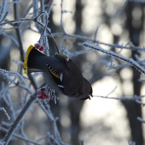 Photo #11756860