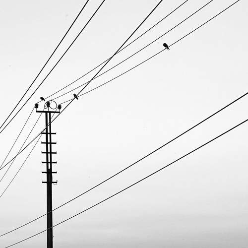 Photo #11757168