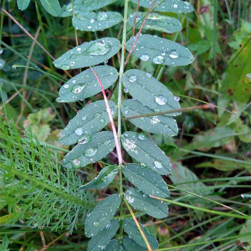 Photo #11757258