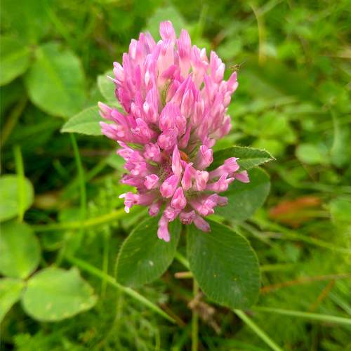 Photo #11757296