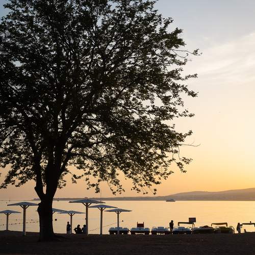 Photo #11757411
