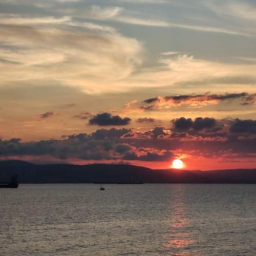 Photo #11757422