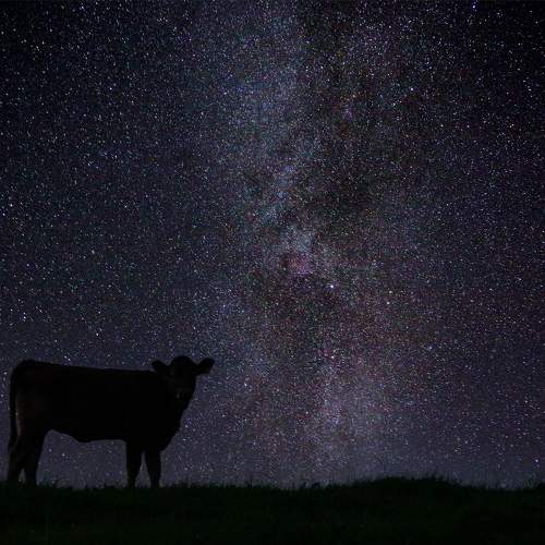 Photo #11757504
