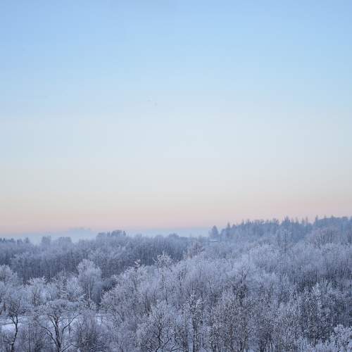 Photo #11757800