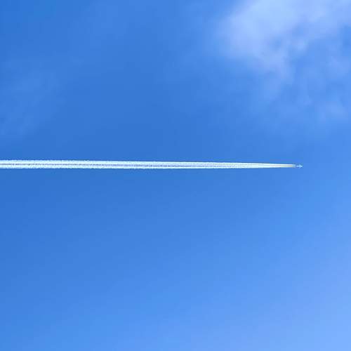 Photo #11757952