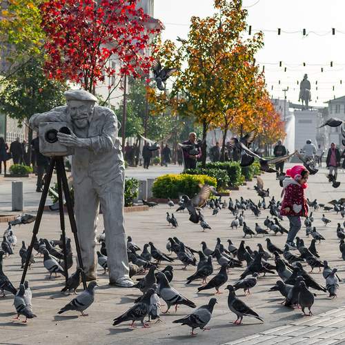 Photo #11757992