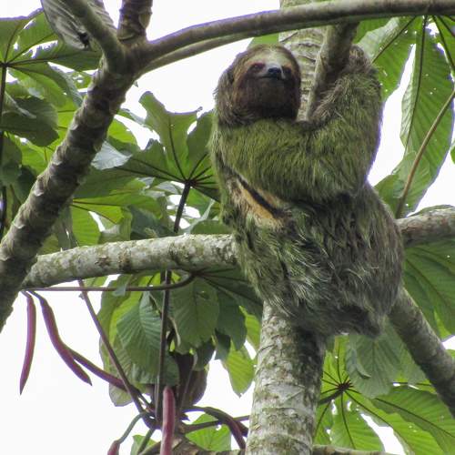 Photo #11758311