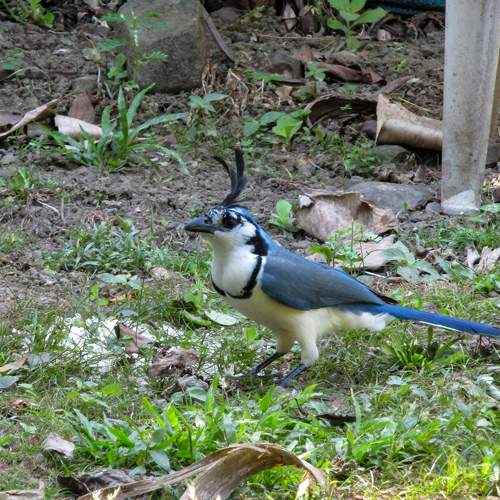 Photo #11758331