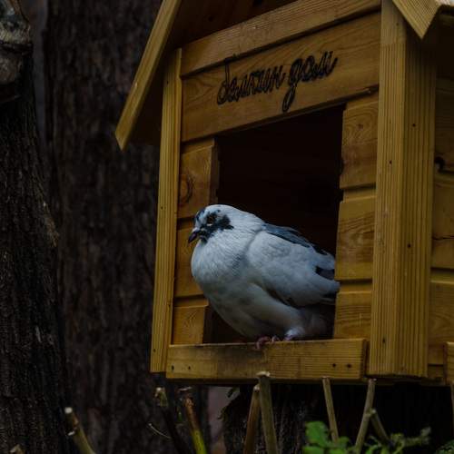 Photo #11758366