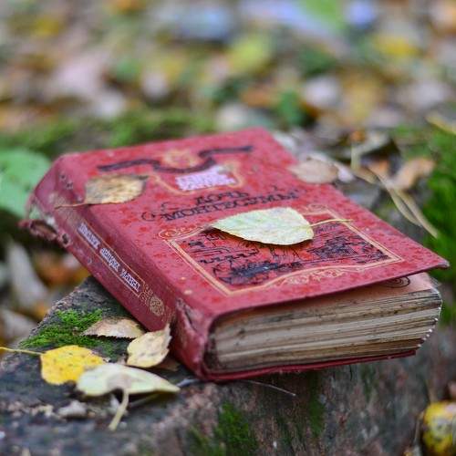 Photo #11758507