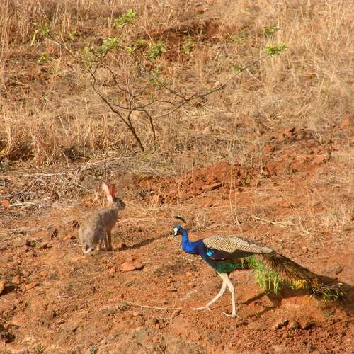 Photo #11758538