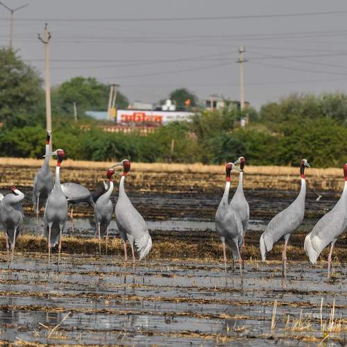 Фотография #11758543