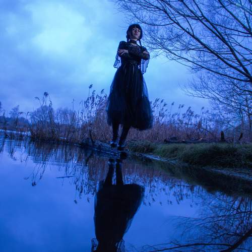 Photo #11758578