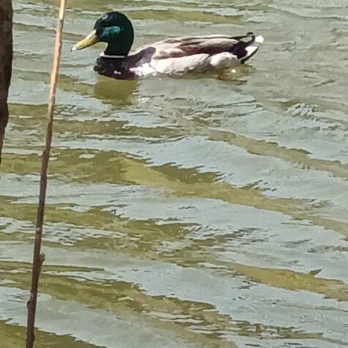 Photo #11758598