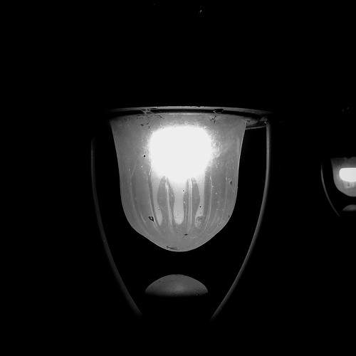 Photo #11758720