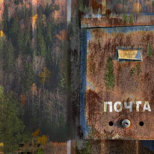Photo #11758825