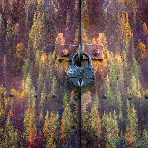 Photo #11758826