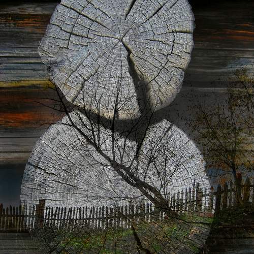Photo #11758867