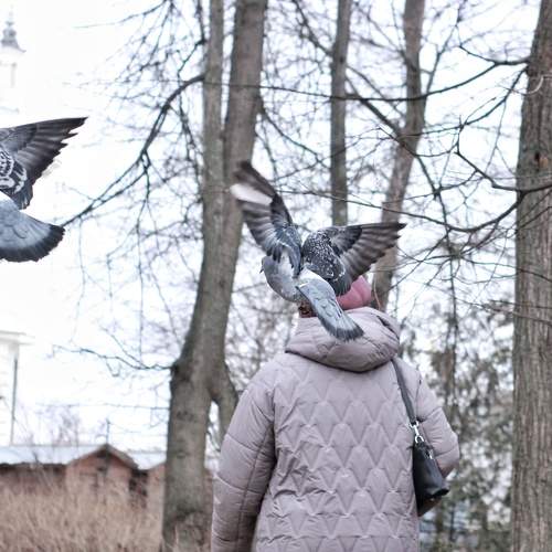 Photo #11758891
