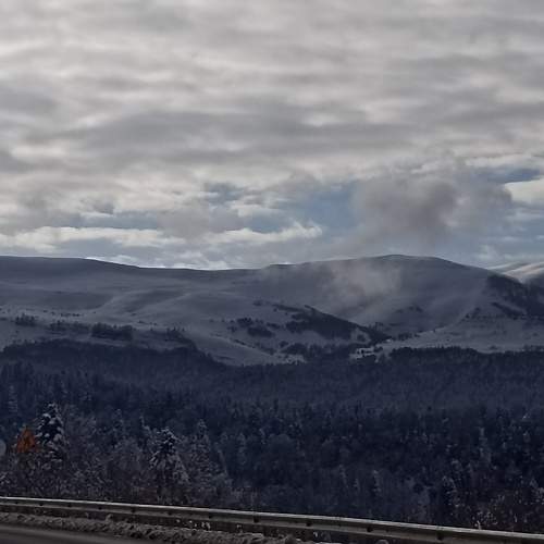 Photo #11759090