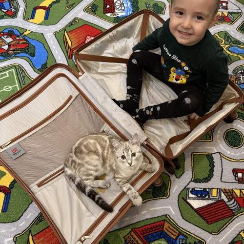 Photo #11759243