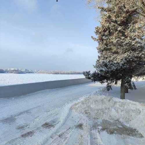 Photo #11759245