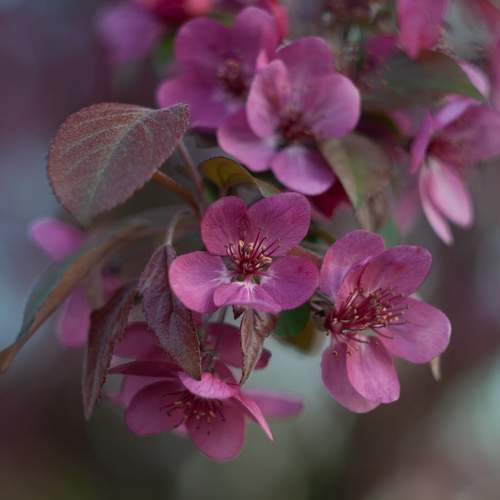 Photo #11759683
