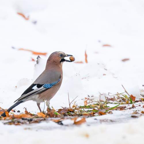 Фотография #11759759