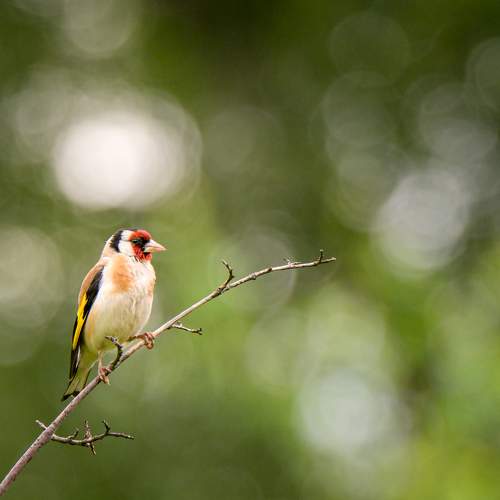 Фотография #11759760