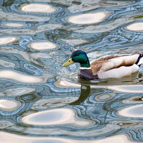 Фотография #11759763