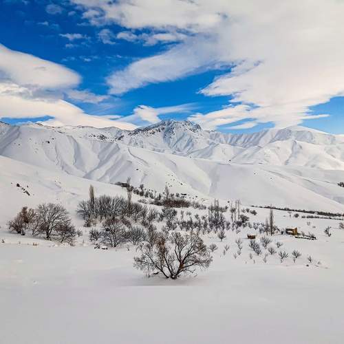 Photo #11759916