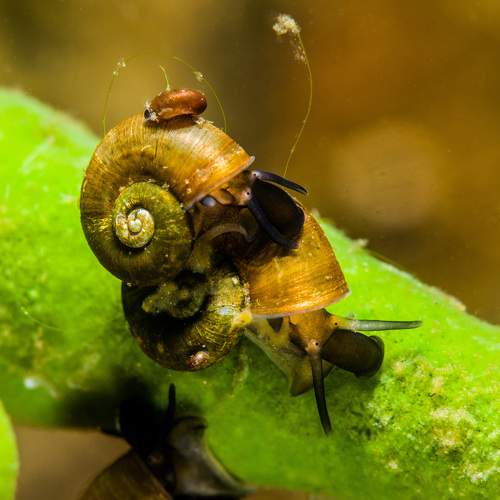 Photo #11759928