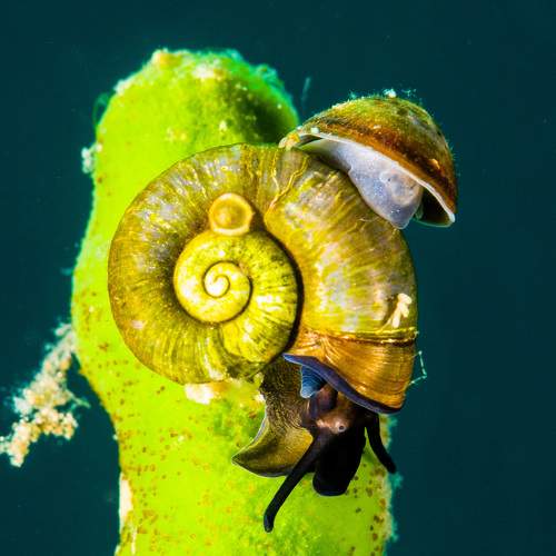Photo #11759940