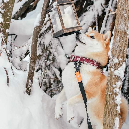 Photo #11760150