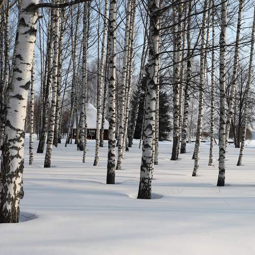 Photo #11760171
