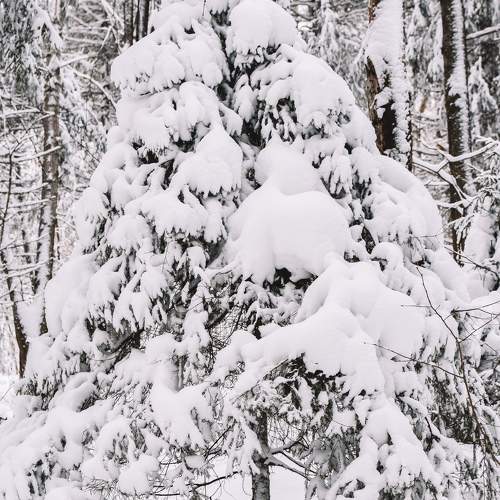 Photo #11760175