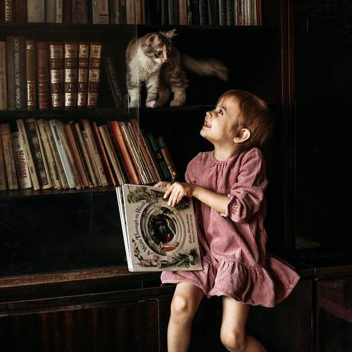Photo #11760252