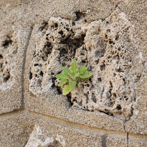 Photo #11760642