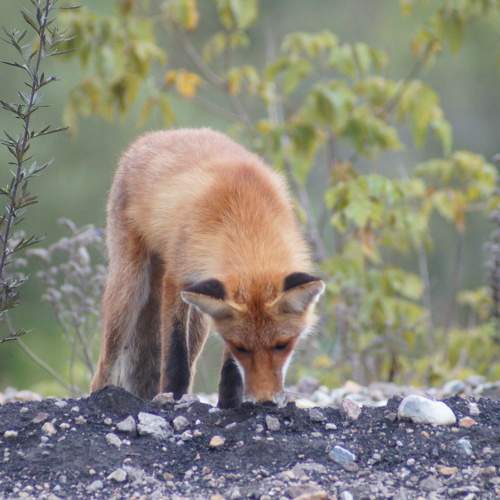 Photo #11760750