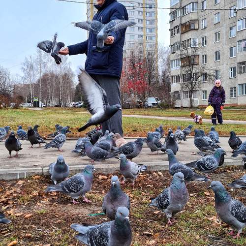 Photo #11760767