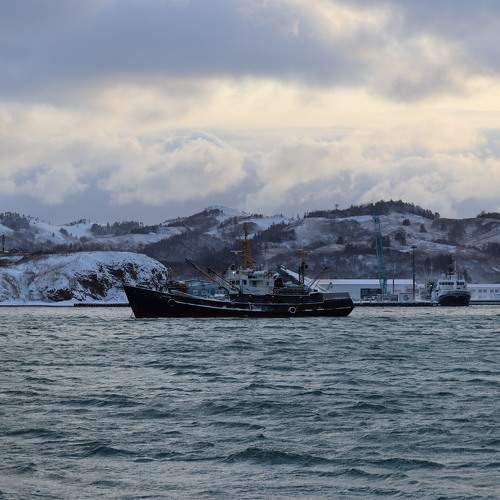 Photo #11760865