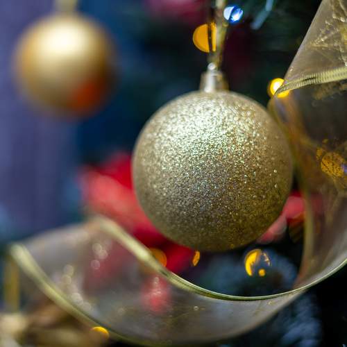 Photo #11760898